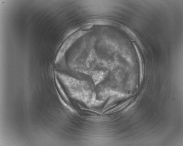 X0000074341433200609230106