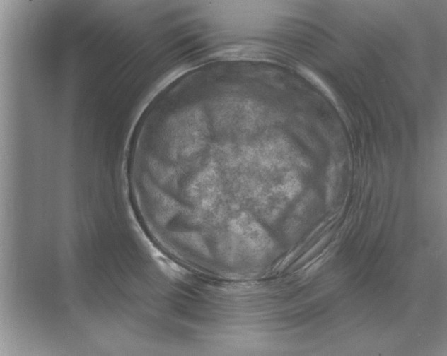 X0000074341434200609230107