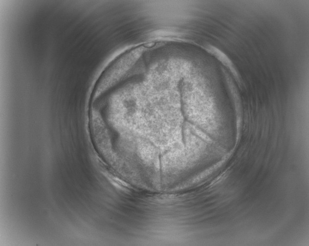 X0000074341435200609230107