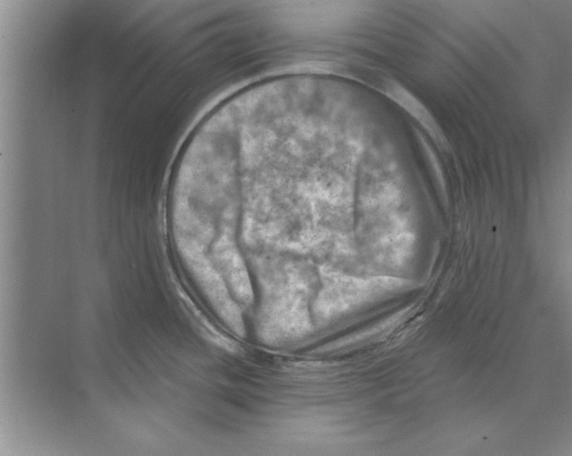 X0000074341436200609230107