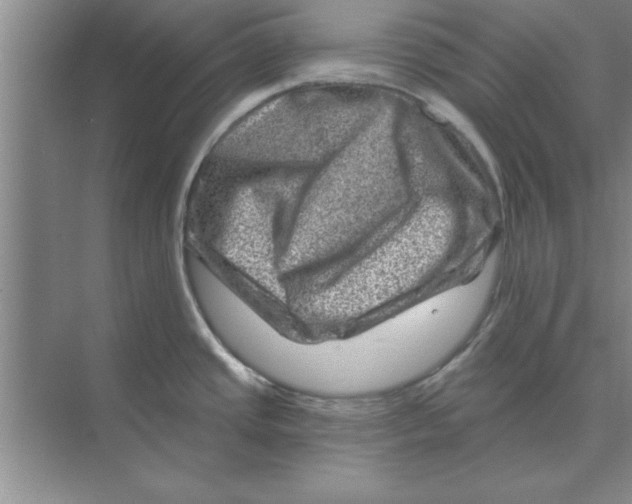 X0000074341437200609230107