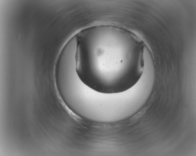 X0000074341438200609230107