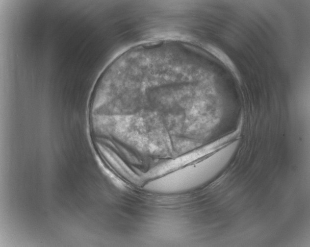 X0000074341439200609230107