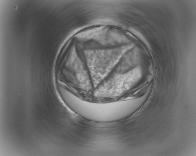 X0000074341440200609230107