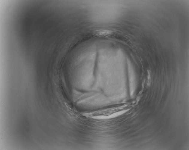 X0000074341441200609230106