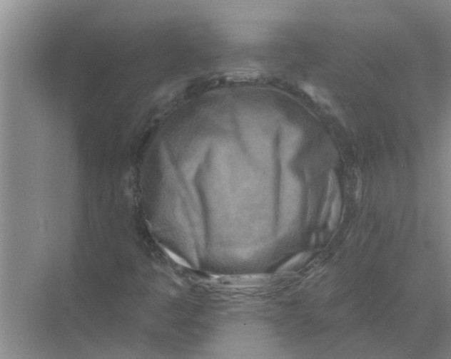 X0000074341445200609230106