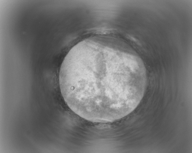 X0000074341446200609230106