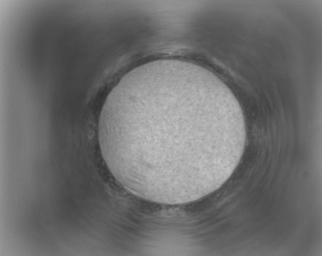 X0000074341447200609230106