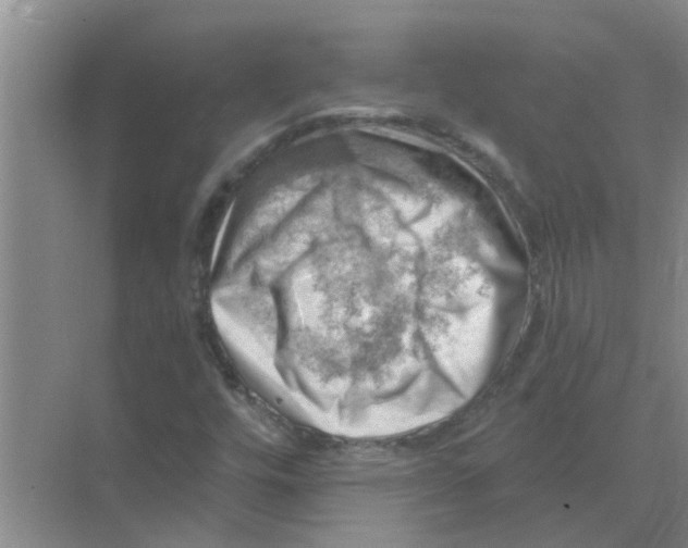 X0000074341448200609230106