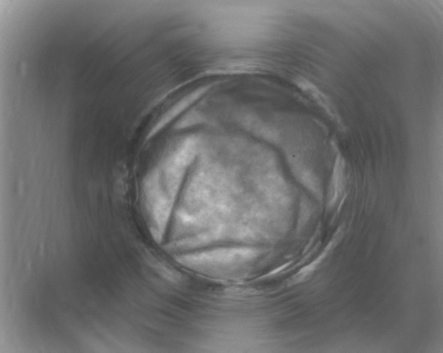 X0000074341449200609230106