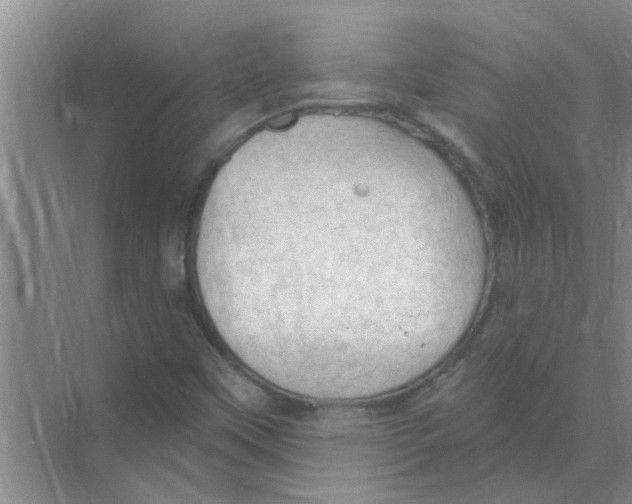 X0000074341451200609230106