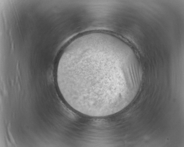 X0000074341452200609230106