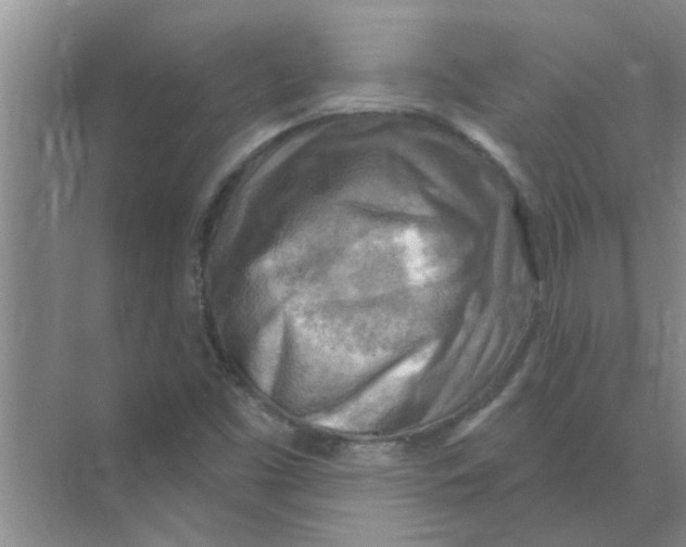 X0000074341453200609230106