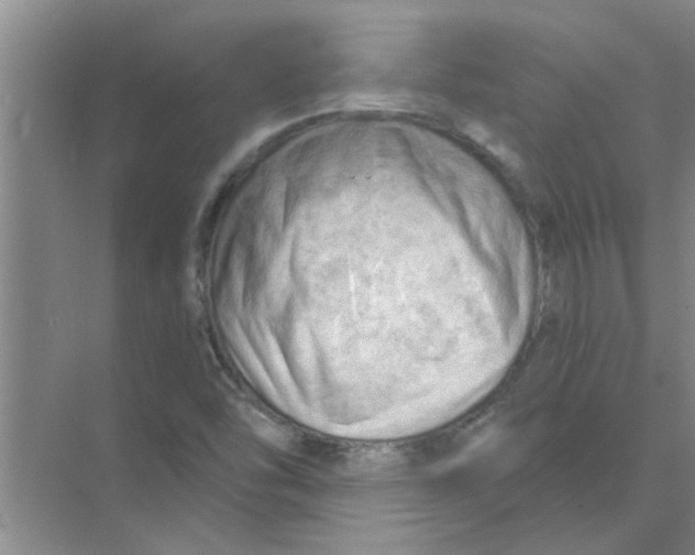 X0000074341454200609230106