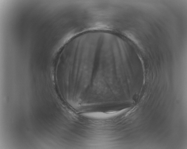 X0000074341455200609230106