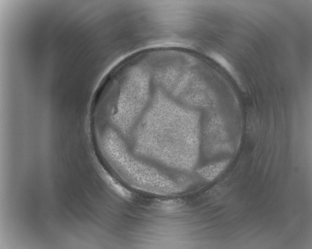 X0000074341460200609230105