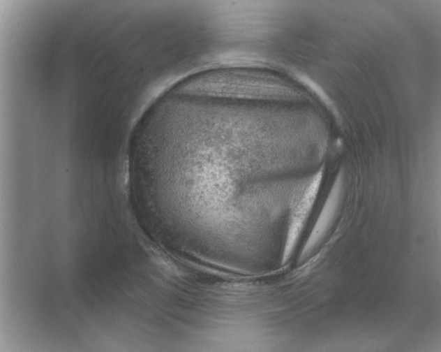 X0000074341461200609230105