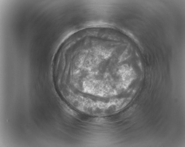 X0000074341463200609230105