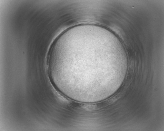 X0000074341466200609230105