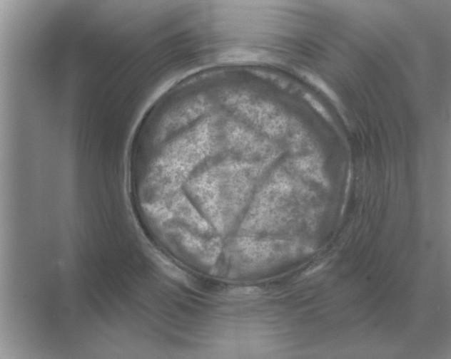 X0000074341467200609230105