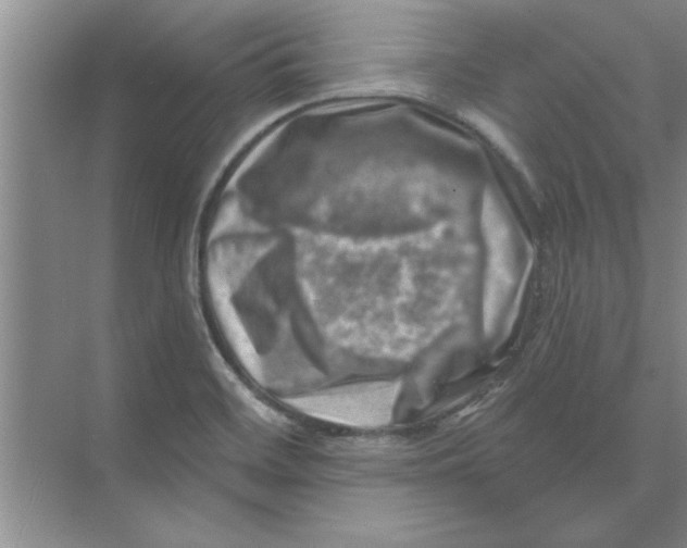 X0000074341468200609230105