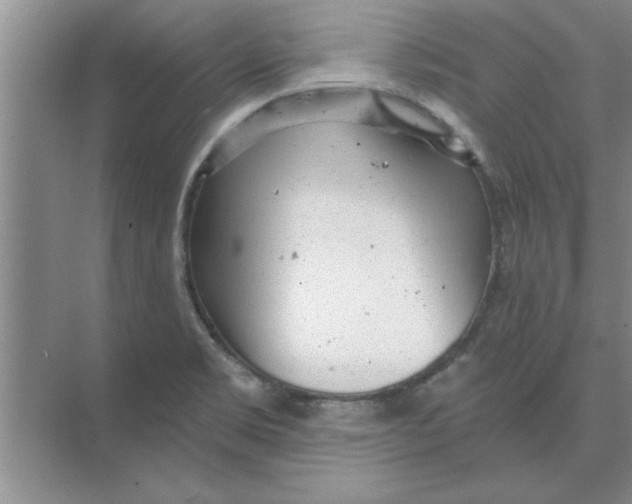 X0000074341469200609230105