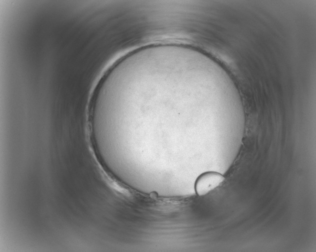 X0000074341470200609230105