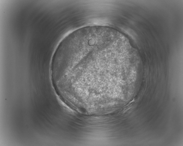 X0000074341471200609230105