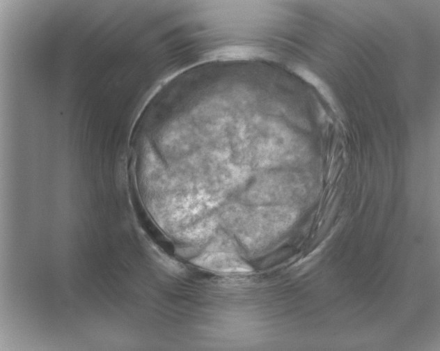 X0000074341473200609230105