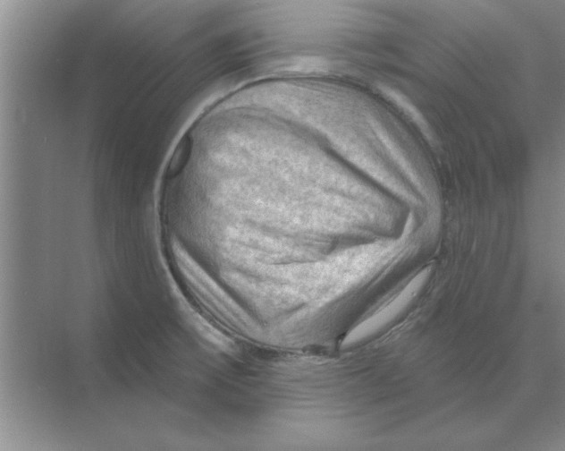 X0000074341475200609230105