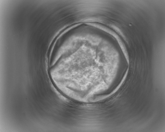 X0000074341476200609230105