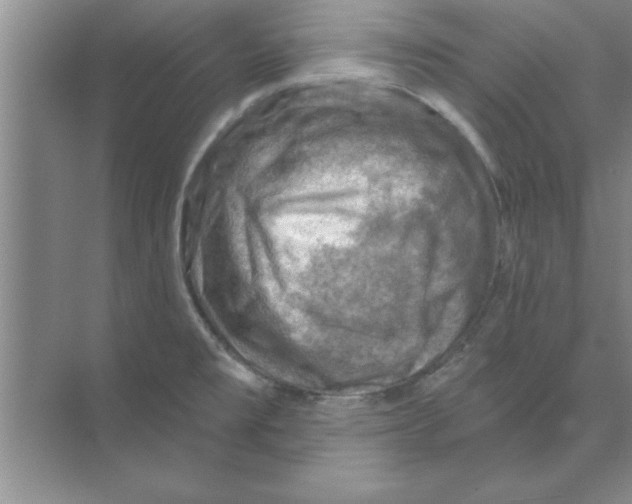 X0000074341477200609230105