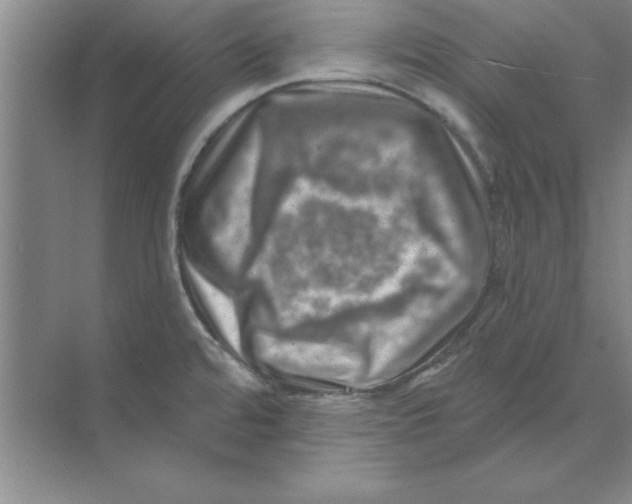 X0000074341480200609230105