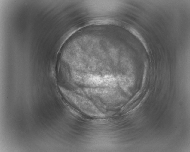 X0000074341481200609230105