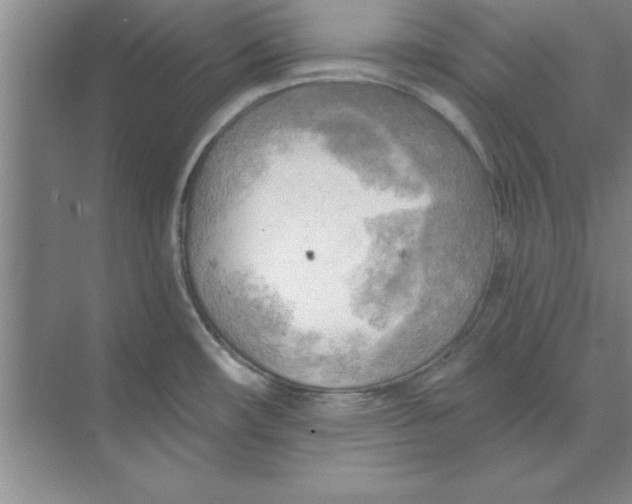 X0000074341482200609230105