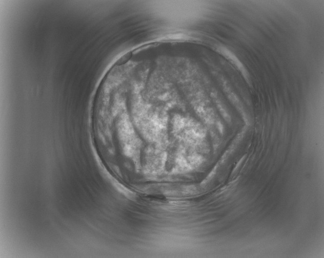 X0000074341483200609230105