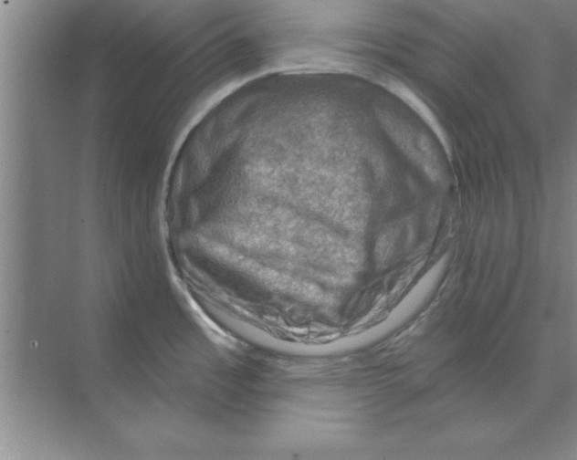 X0000074341485200609230105