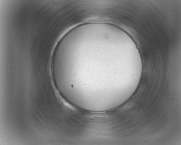 X0000074341486200609230105