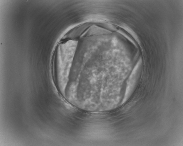 X0000074341488200609230105