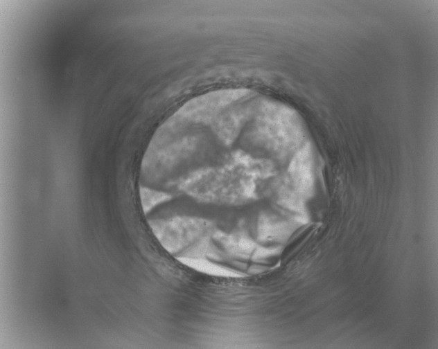 X0000074341489200609230104