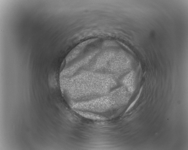 X0000074341490200609230104