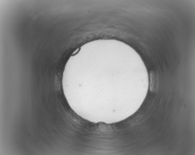 X0000074341491200609230104