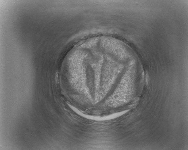 X0000074341492200609230104