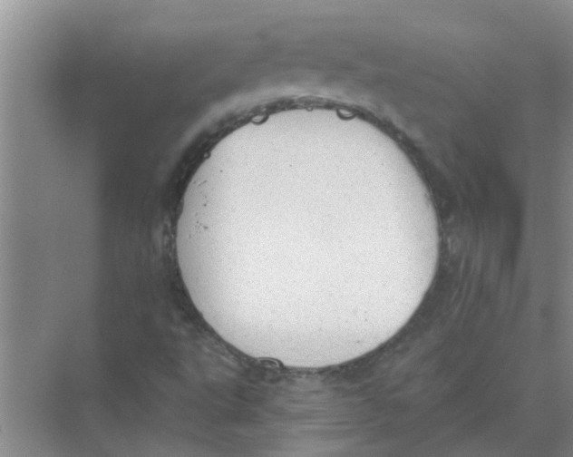 X0000074341495200609230104