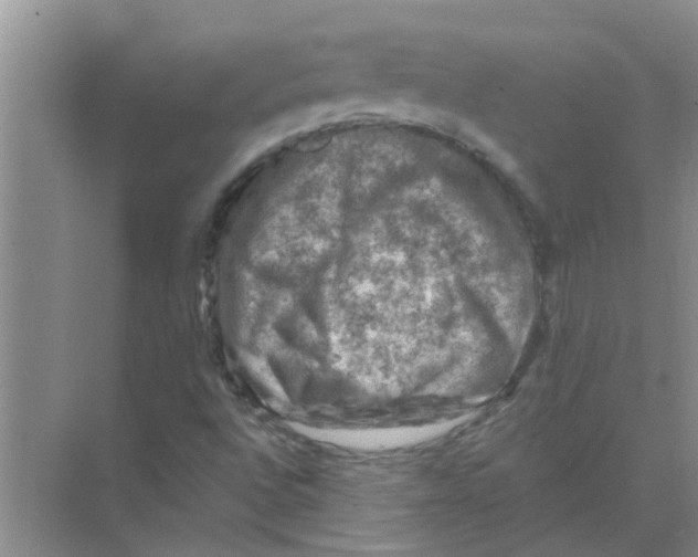 X0000074341496200609230104