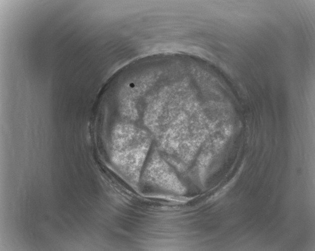 X0000074341497200609230104