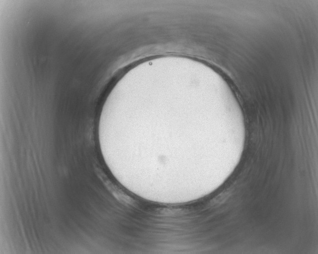 X0000074341499200609230104