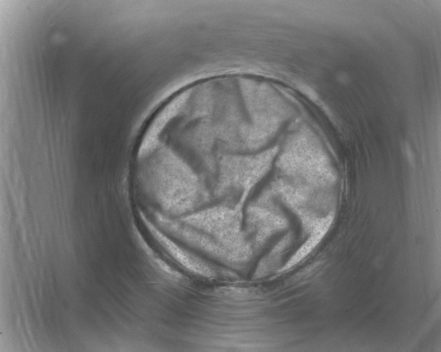 X0000074341500200609230104