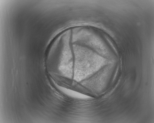 X0000074341501200609230104