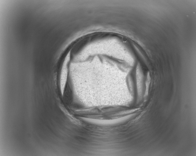 X0000074341503200609230104